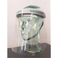 Image of Barriguard Visor on a dummy 