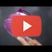 Embedded thumbnail for  Beurer FC 55 Body Brush