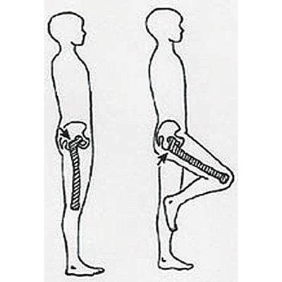 How to Measure circumference around hips. 