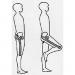 Image where to measure around the hips for best fit.